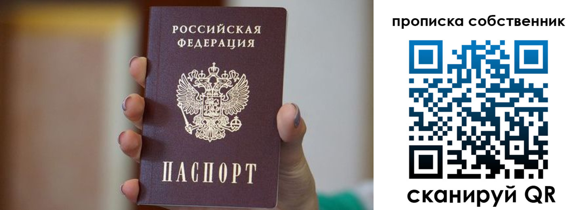 прописка поиск в Гаджиево